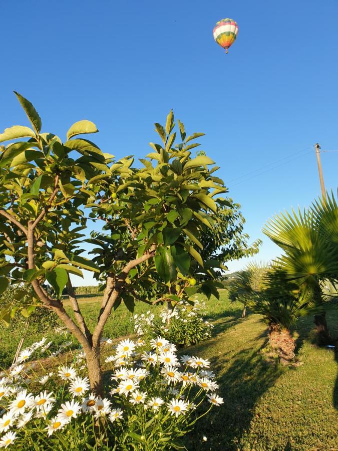La Dolce Vita 卡斯特尔菲达多 外观 照片