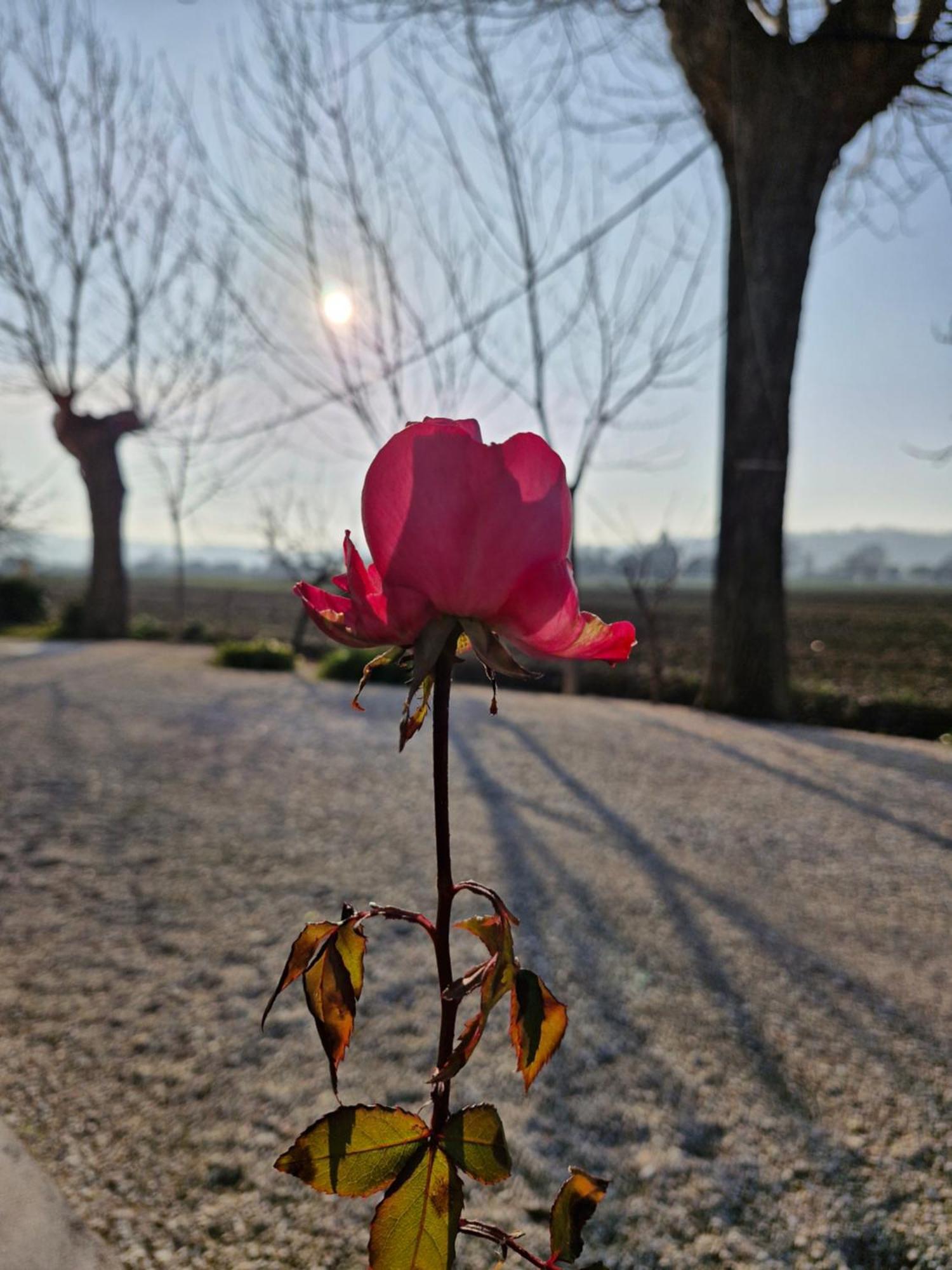 La Dolce Vita 卡斯特尔菲达多 外观 照片